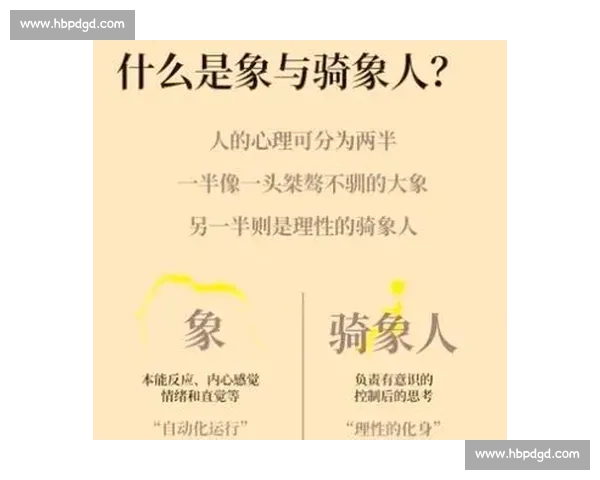以假动作为核心解析竞技对抗中迷惑与制胜的心理博弈之道实践应用