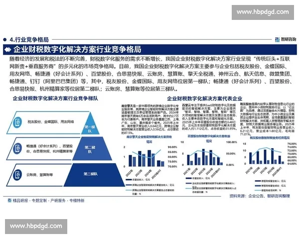通过数据解读分析揭示行业趋势与未来发展方向的深度洞察